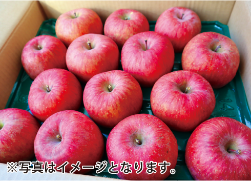 青森県産サンふじりんご